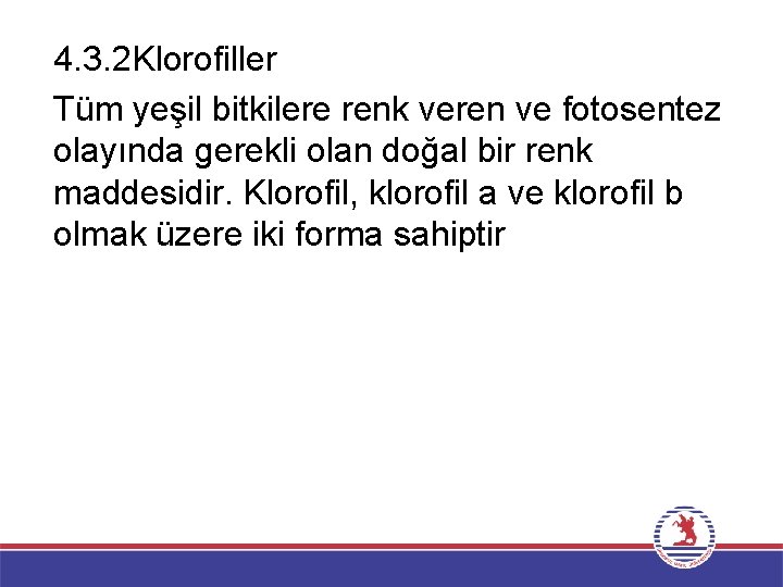 4. 3. 2 Klorofiller Tüm yeşil bitkilere renk veren ve fotosentez olayında gerekli olan