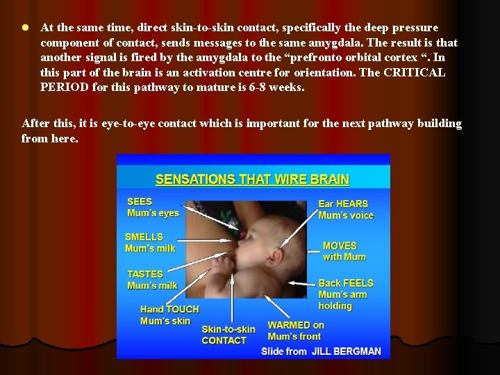 l At the same time, direct skin-to-skin contact, specifically the deep pressure component of