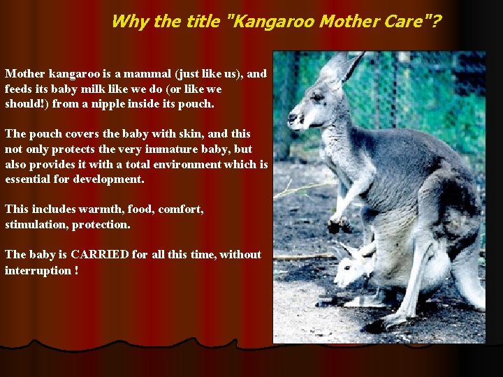 Why the title "Kangaroo Mother Care"? Mother kangaroo is a mammal (just like us),