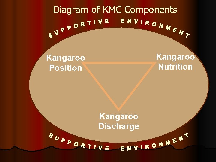 Diagram of KMC Components Kangaroo Nutrition Kangaroo Position Kangaroo Discharge 