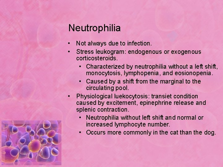 Neutrophilia • Not always due to infection. • Stress leukogram: endogenous or exogenous corticosteroids.