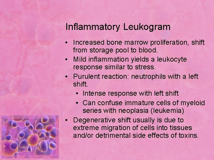 Inflammatory Leukogram • Increased bone marrow proliferation, shift from storage pool to blood. •