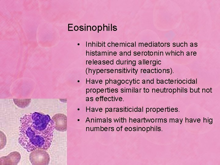 Eosinophils • Inhibit chemical mediators such as histamine and serotonin which are released during