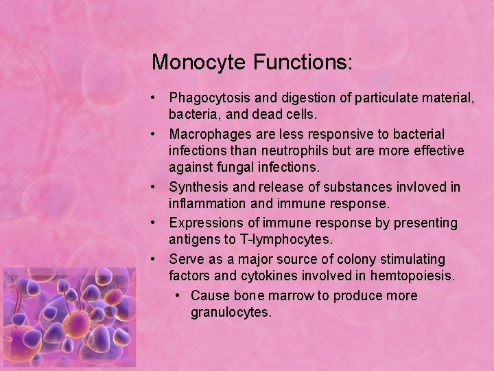 Monocyte Functions: • Phagocytosis and digestion of particulate material, bacteria, and dead cells. •