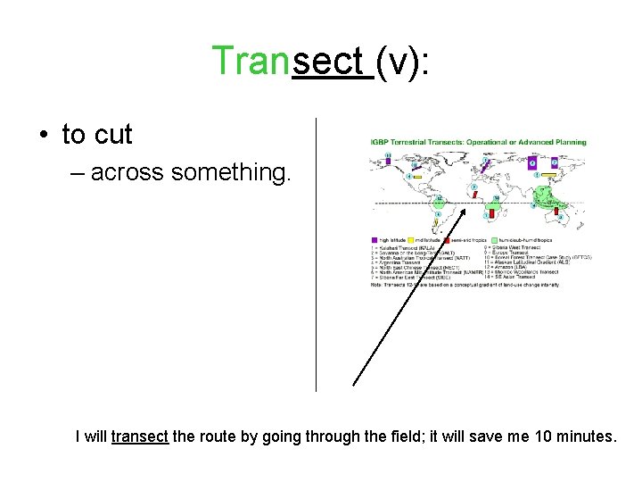 Transect (v): • to cut – across something. I will transect the route by