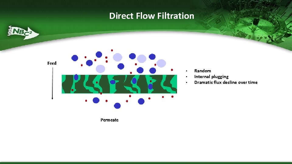 Direct Flow Filtration • • • Random Internal plugging Dramatic flux decline over time