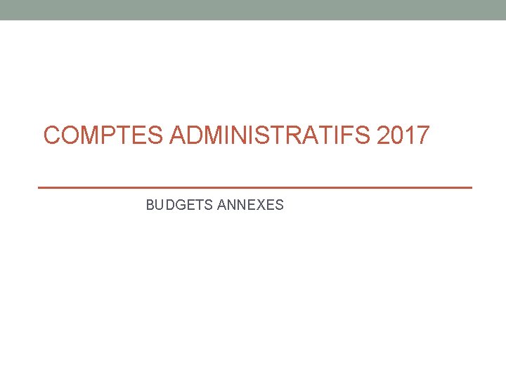 COMPTES ADMINISTRATIFS 2017 BUDGETS ANNEXES 