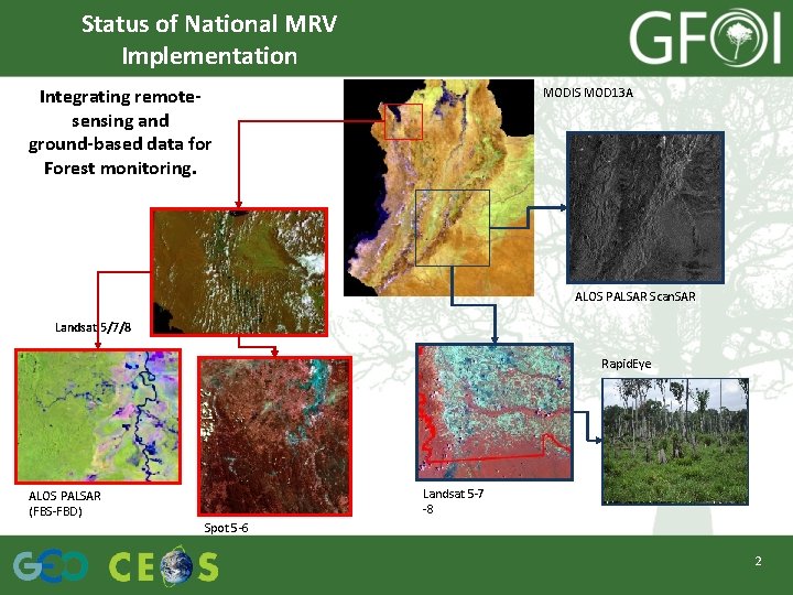 Status of National MRV Implementation Integrating remotesensing and ground-based data for Forest monitoring. MODIS