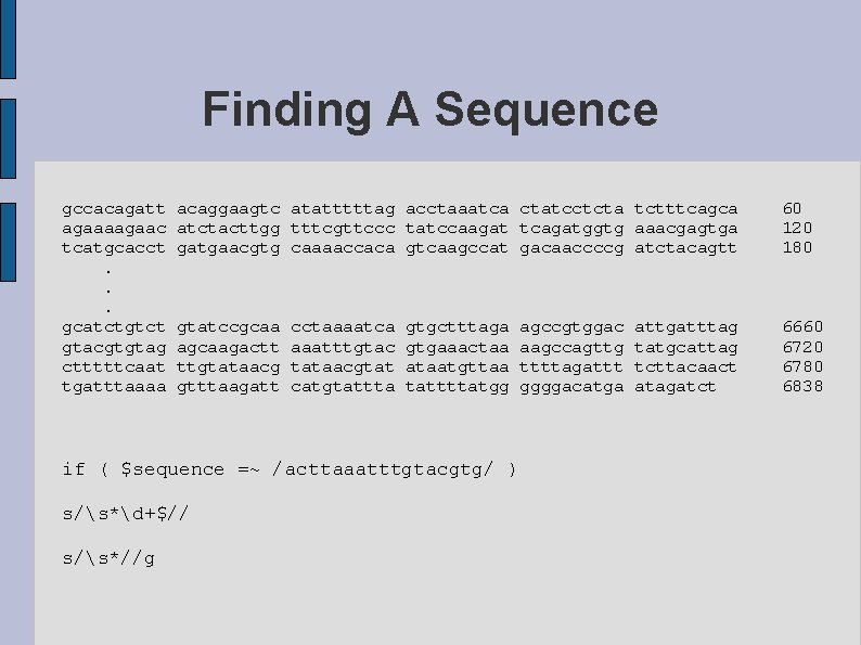 Finding A Sequence gccacagatt agaaaagaac tcatgcacct. . . gcatctgtct gtacgtgtag ctttttcaat tgatttaaaa acaggaagtc atatttttag