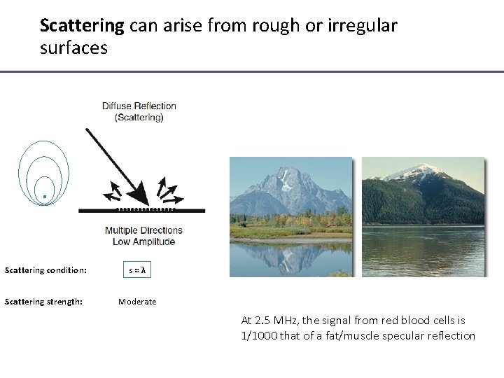 Scattering can arise from rough or irregular surfaces Scattering condition: s≈λ Scattering strength: Moderate