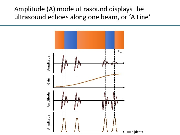 Amplitude (A) mode ultrasound displays the ultrasound echoes along one beam, or ‘A Line’
