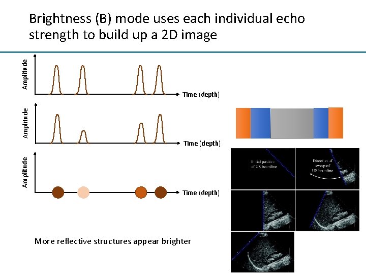 Amplitude Brightness (B) mode uses each individual echo strength to build up a 2