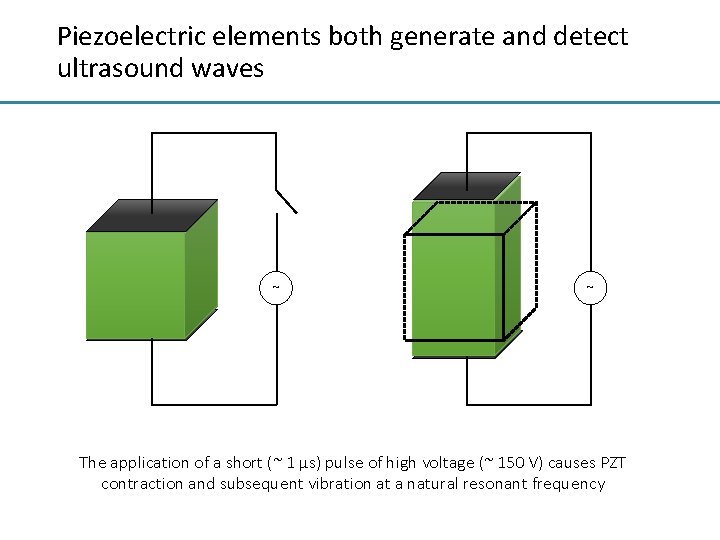Piezoelectric elements both generate and detect ultrasound waves ~ ~ The application of a