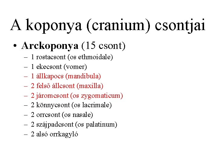 A koponya (cranium) csontjai • Arckoponya (15 csont) – – – – – 1