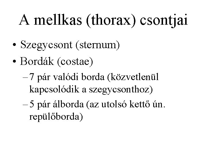 A mellkas (thorax) csontjai • Szegycsont (sternum) • Bordák (costae) – 7 pár valódi