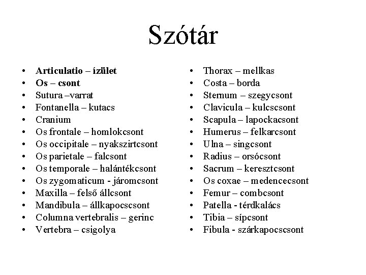 Szótár • • • • Articulatio – ízület Os – csont Sutura –varrat Fontanella