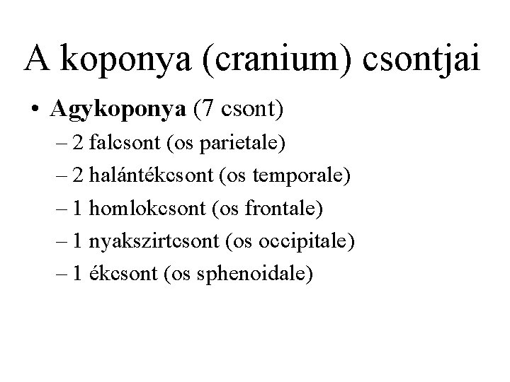 A koponya (cranium) csontjai • Agykoponya (7 csont) – 2 falcsont (os parietale) –