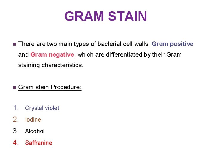 GRAM STAIN n There are two main types of bacterial cell walls, Gram positive