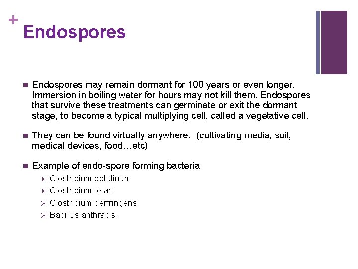 + Endospores n Endospores may remain dormant for 100 years or even longer. Immersion