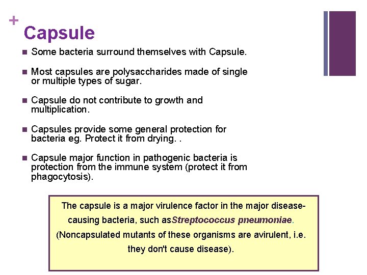 + Capsule n Some bacteria surround themselves with Capsule. n Most capsules are polysaccharides