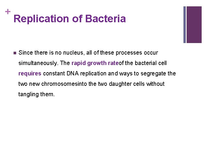 + Replication of Bacteria n Since there is no nucleus, all of these processes