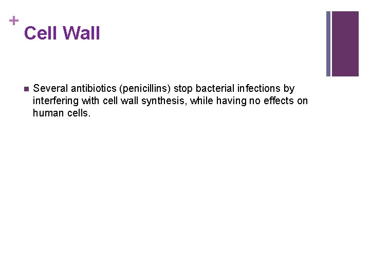 + Cell Wall n Several antibiotics (penicillins) stop bacterial infections by interfering with cell