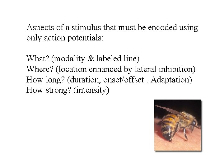 Aspects of a stimulus that must be encoded using only action potentials: What? (modality