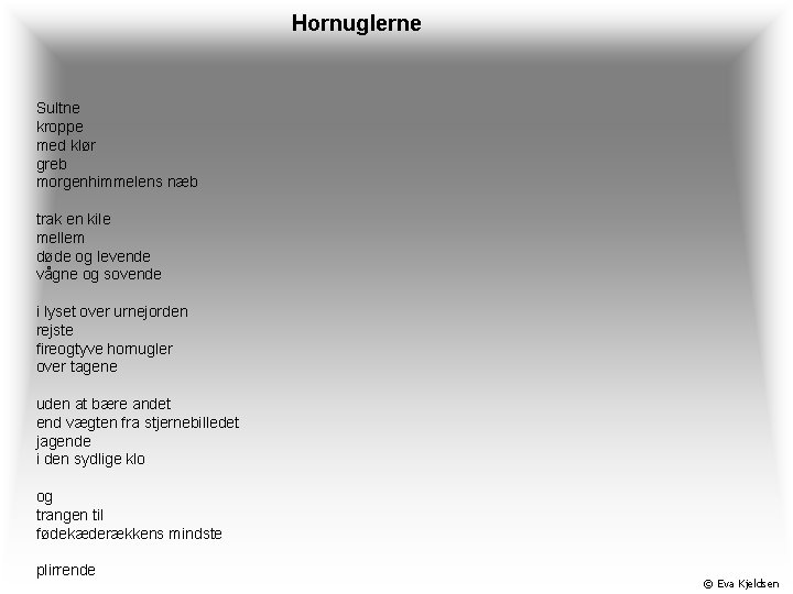 Hornuglerne Sultne kroppe med klør greb morgenhimmelens næb trak en kile mellem døde og