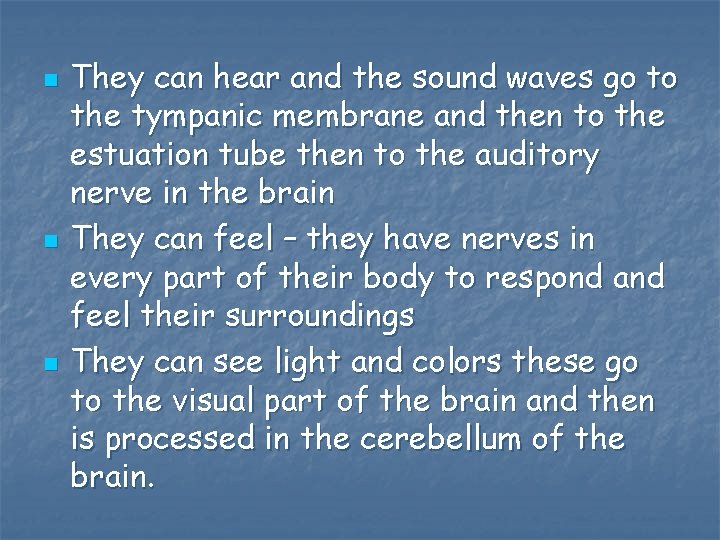 n n n They can hear and the sound waves go to the tympanic