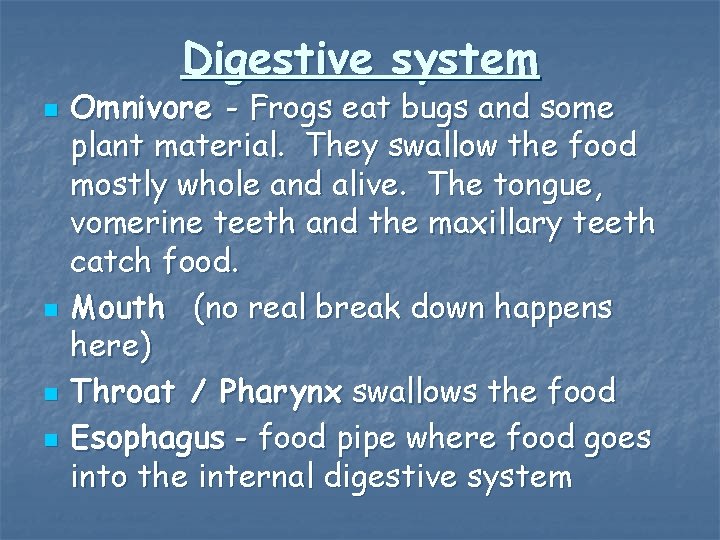 Digestive system n n Omnivore - Frogs eat bugs and some plant material. They
