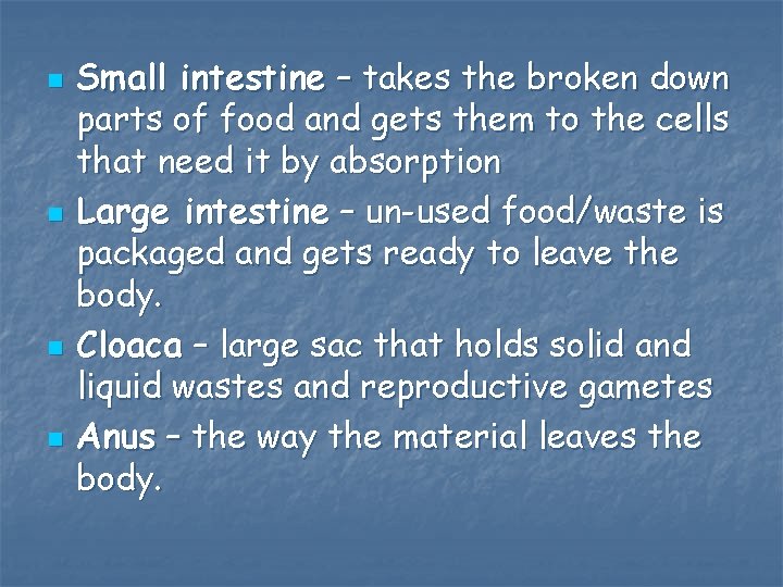 n n Small intestine – takes the broken down parts of food and gets
