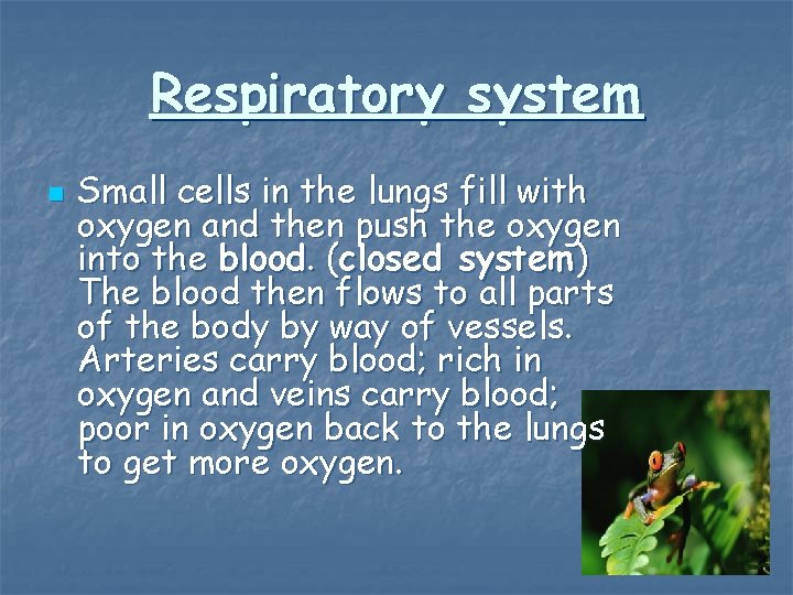 Respiratory system n Small cells in the lungs fill with oxygen and then push