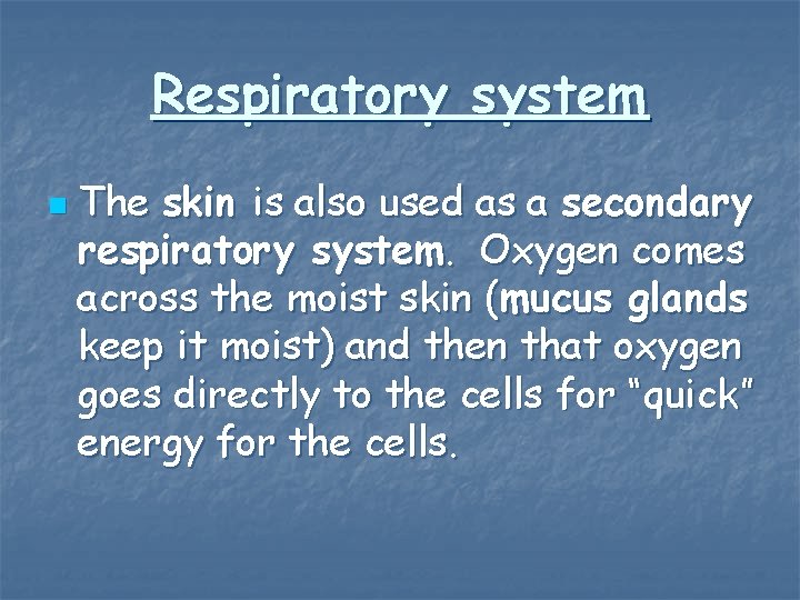Respiratory system n The skin is also used as a secondary respiratory system. Oxygen