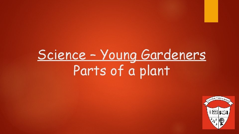 Science – Young Gardeners Parts of a plant 