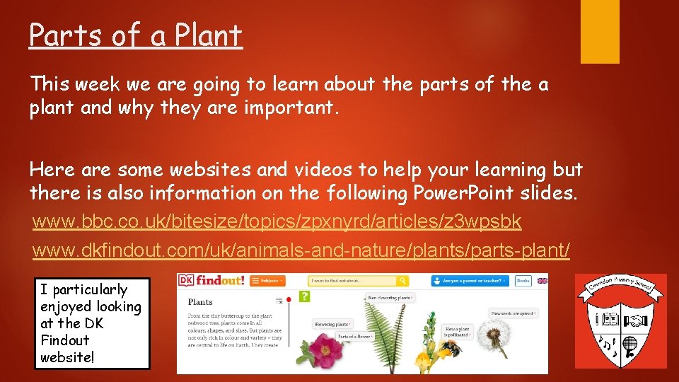 Parts of a Plant This week we are going to learn about the parts