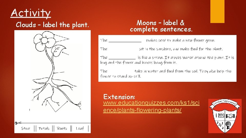 Activity Clouds – label the plant. Moons – label & complete sentences. Extension: www.