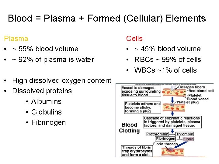 Blood = Plasma + Formed (Cellular) Elements Plasma • ~ 55% blood volume •