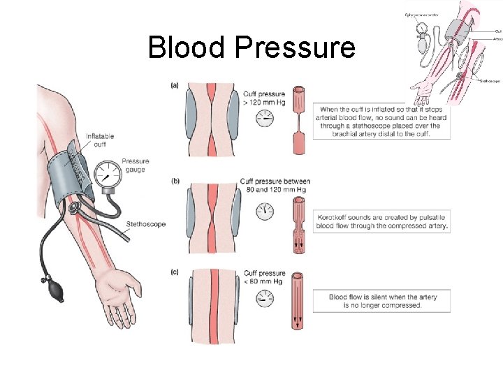 Blood Pressure 