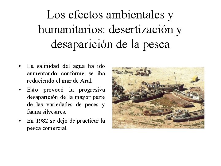 Los efectos ambientales y humanitarios: desertización y desaparición de la pesca • La salinidad