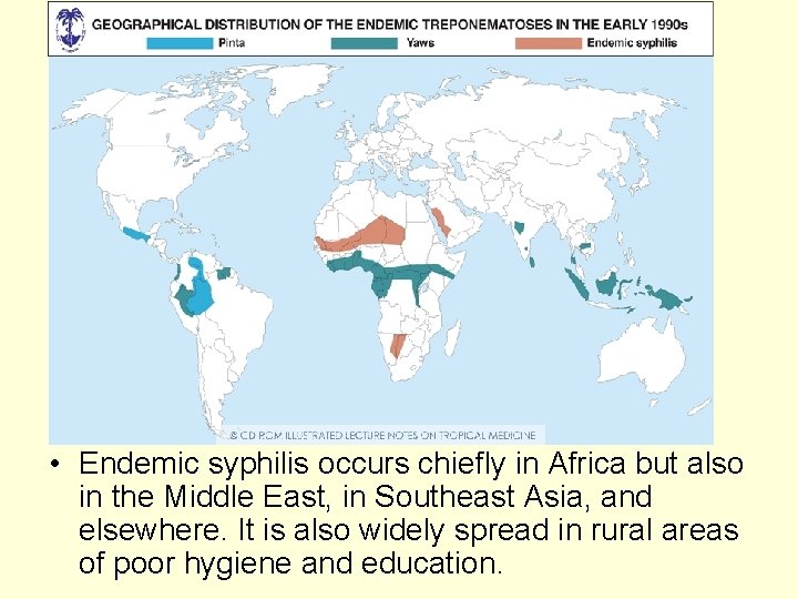  • Endemic syphilis occurs chiefly in Africa but also in the Middle East,