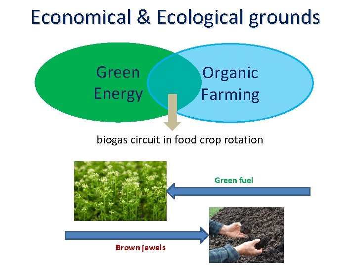 Economical & Ecological grounds Green Energy Organic Farming biogas circuit in food crop rotation