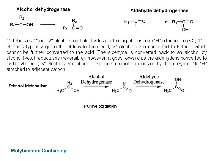 Alcohol dehydrogenase Aldehyde dehydrogenase Metabolizes 1° and 2° alcohols and aldehydes containing at least