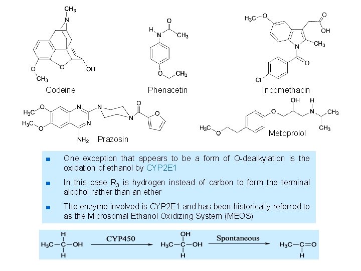 Codeine Phenacetin Prazosin Indomethacin Metoprolol ■ One exception that appears to be a form