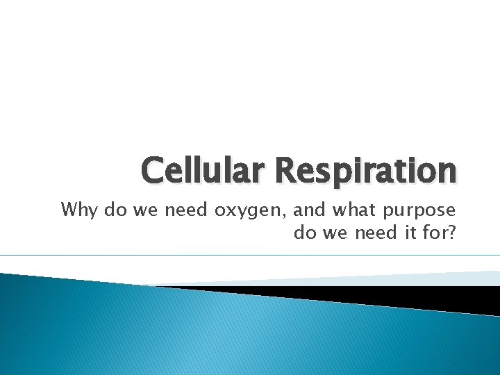 Cellular Respiration Why do we need oxygen, and what purpose do we need it