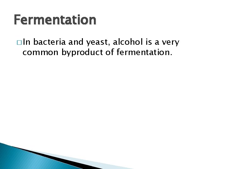 Fermentation � In bacteria and yeast, alcohol is a very common byproduct of fermentation.