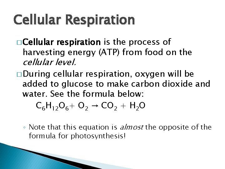 Cellular Respiration � Cellular respiration is the process of harvesting energy (ATP) from food
