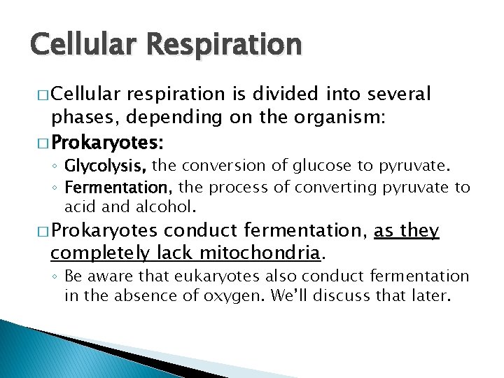 Cellular Respiration � Cellular respiration is divided into several phases, depending on the organism:
