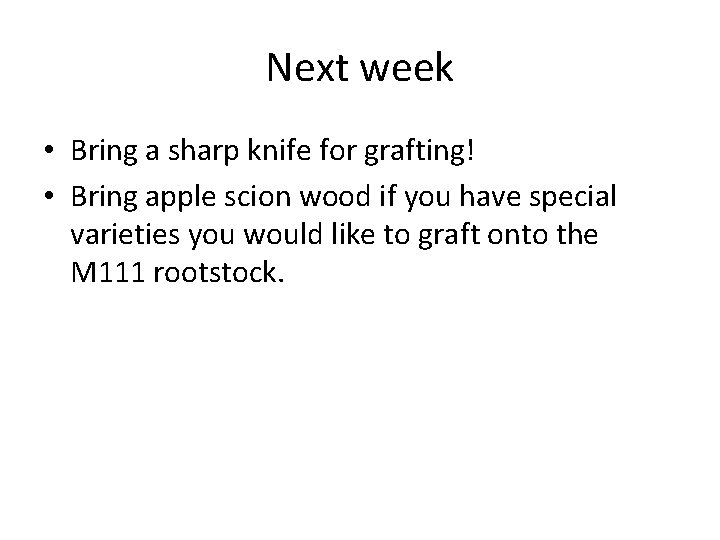 Next week • Bring a sharp knife for grafting! • Bring apple scion wood