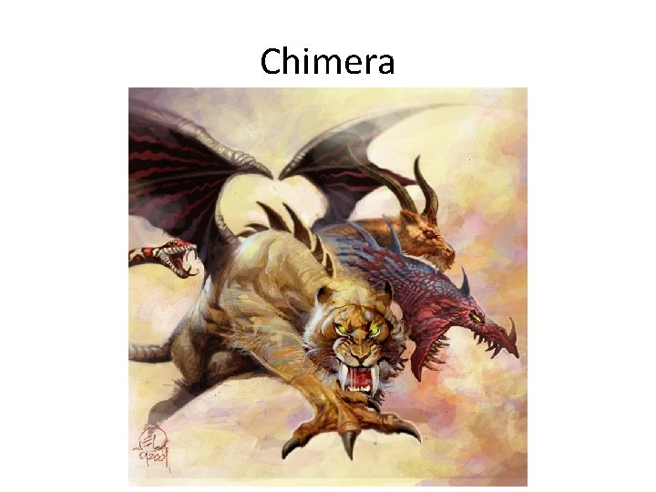 Chimera 