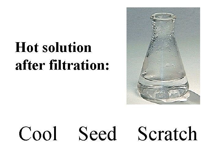 Hot solution after filtration: Cool Seed Scratch 